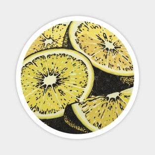 the stone roses original fan art Magnet